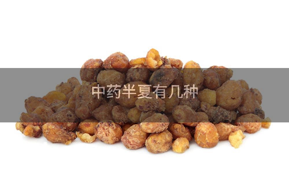 中药半夏有几种