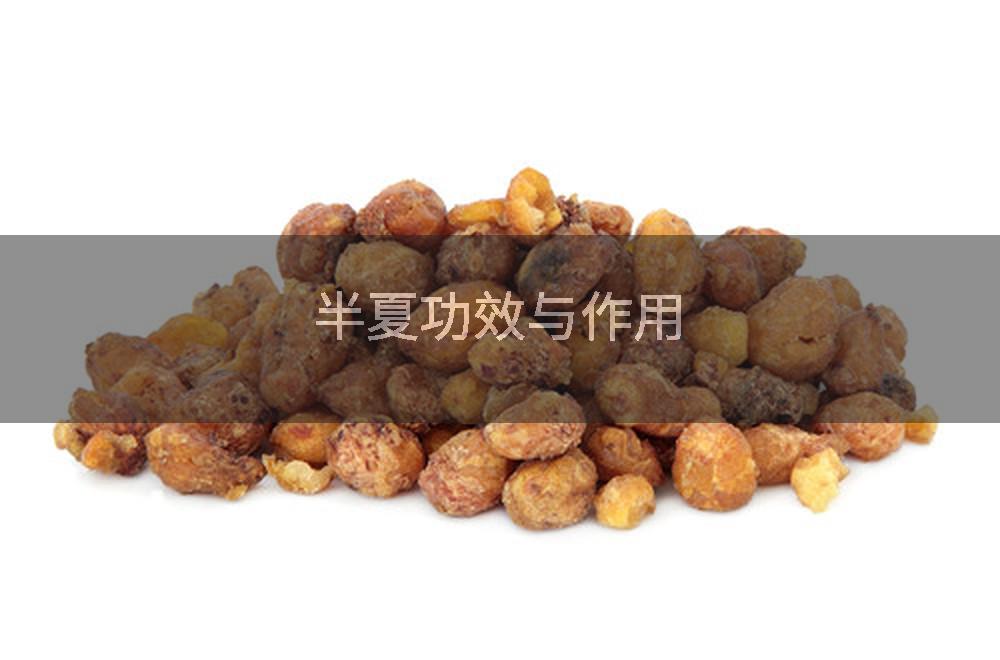 半夏功效与作用