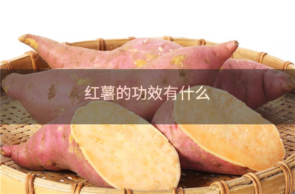 红薯的功效有什么