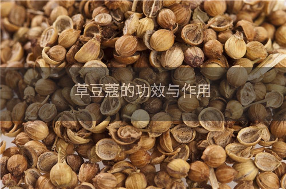 草豆蔻的功效与作用