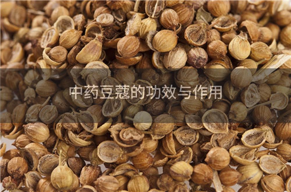 中药豆蔻的功效与作用