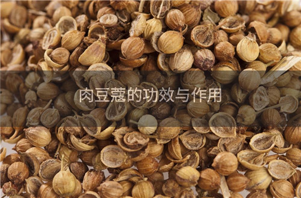 肉豆蔻的功效与作用