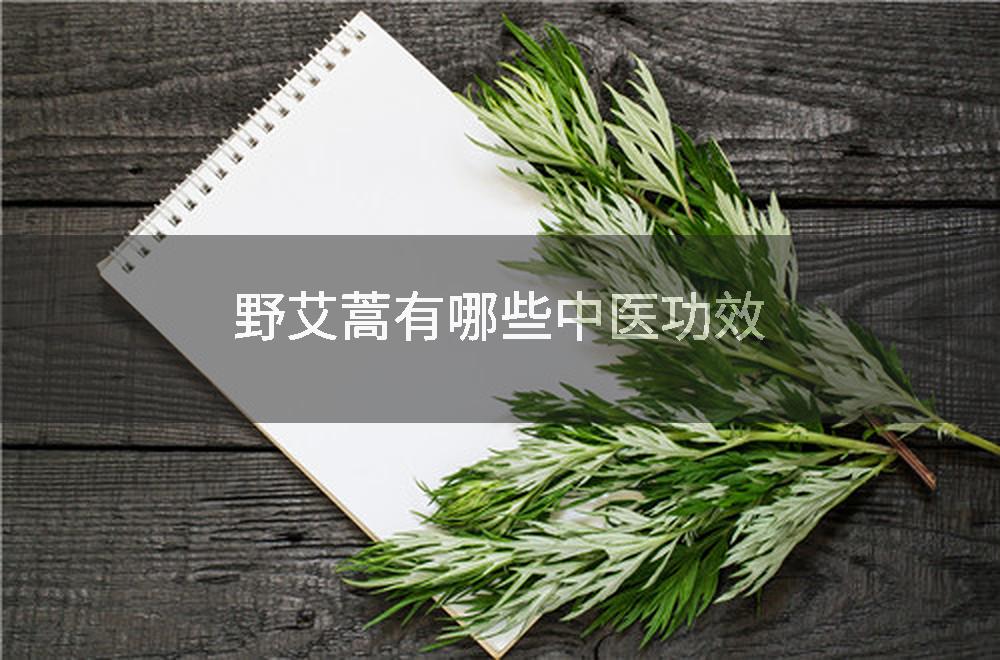 野艾蒿有哪些中医功效