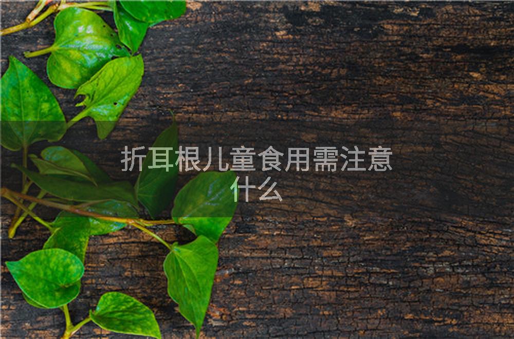 折耳根儿童食用需注意什么