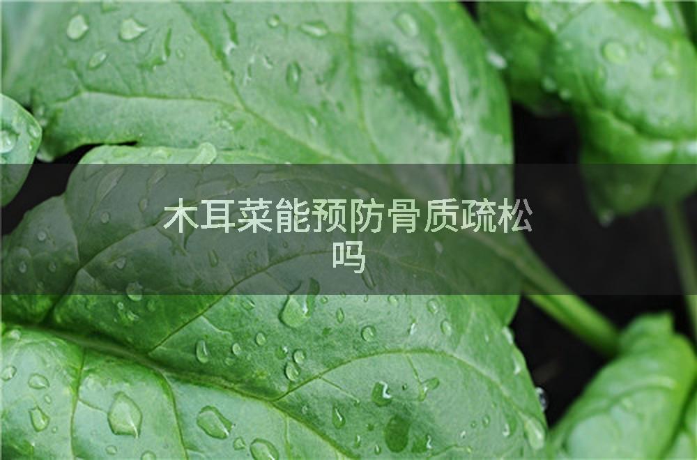 木耳菜能预防骨质疏松吗