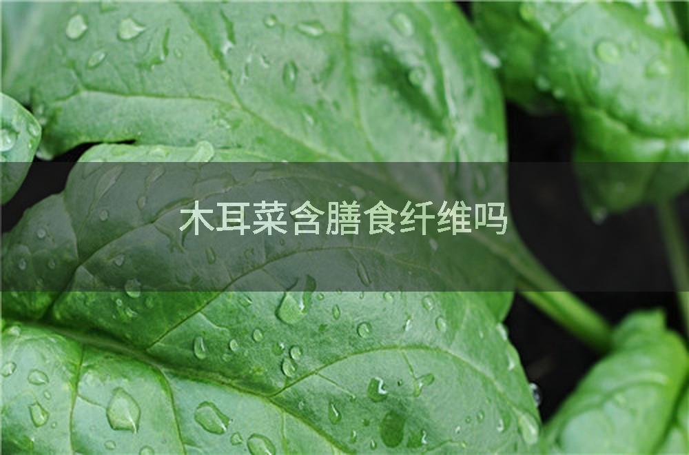 木耳菜含膳食纤维吗