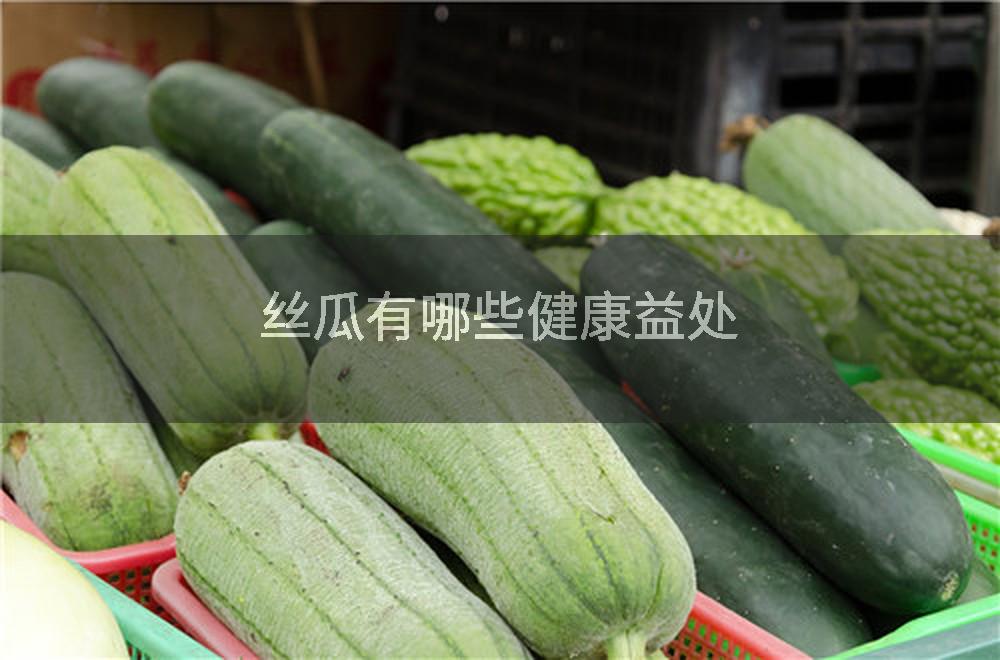 丝瓜有哪些健康益处