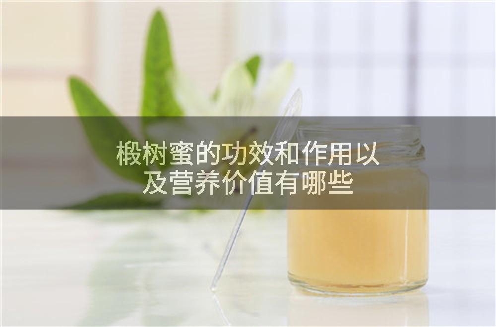 椴树蜜的功效和作用以及营养价值有哪些
