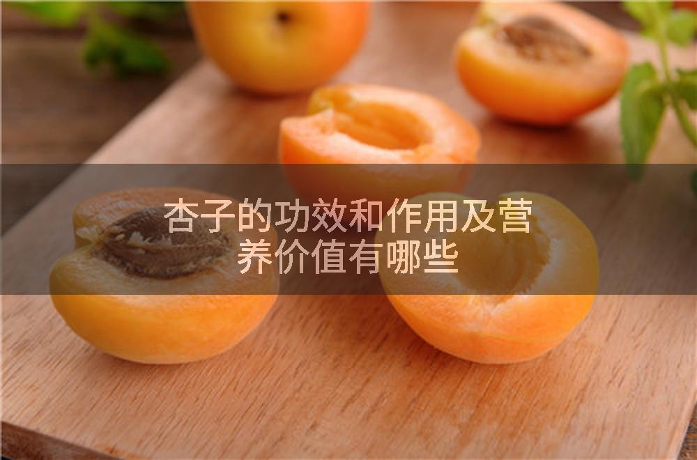 杏子的功效和作用及营养价值有哪些