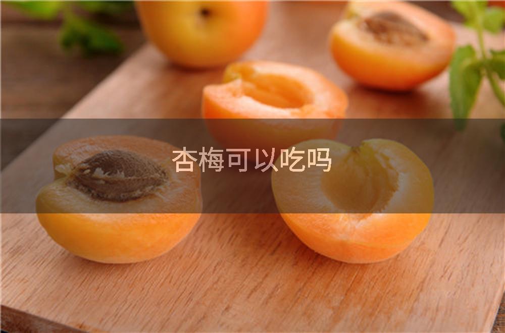 杏梅可以吃吗