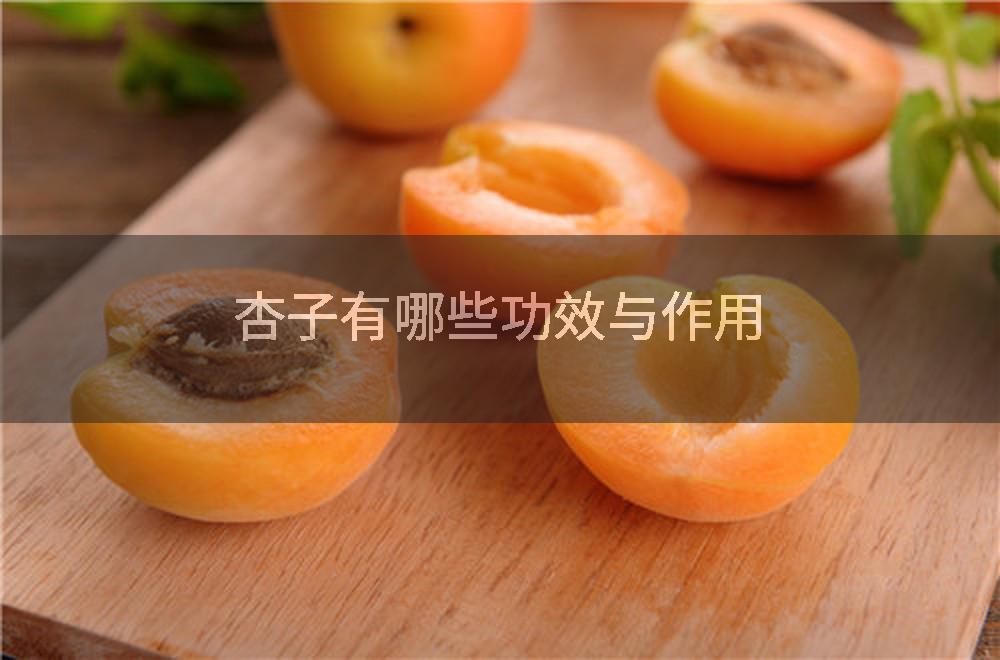 杏子有哪些功效与作用