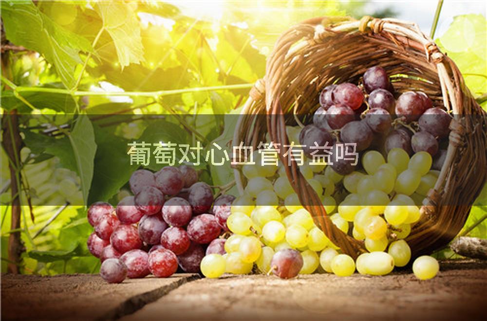 葡萄对心血管有益吗