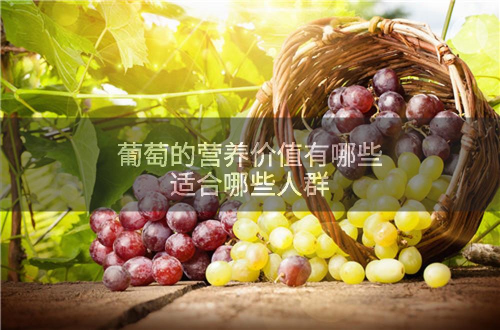 葡萄的营养价值有哪些适合哪些人群