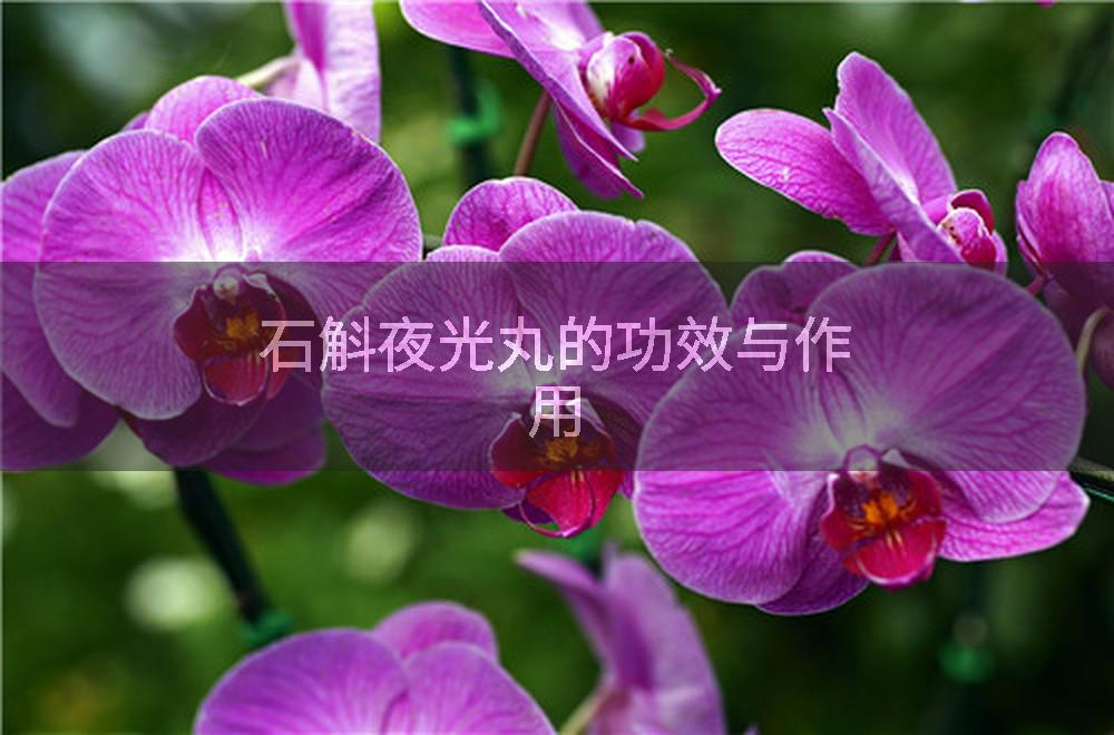 石斛夜光丸的功效与作用