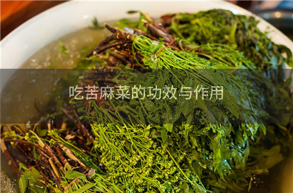 吃苦麻菜的功效与作用