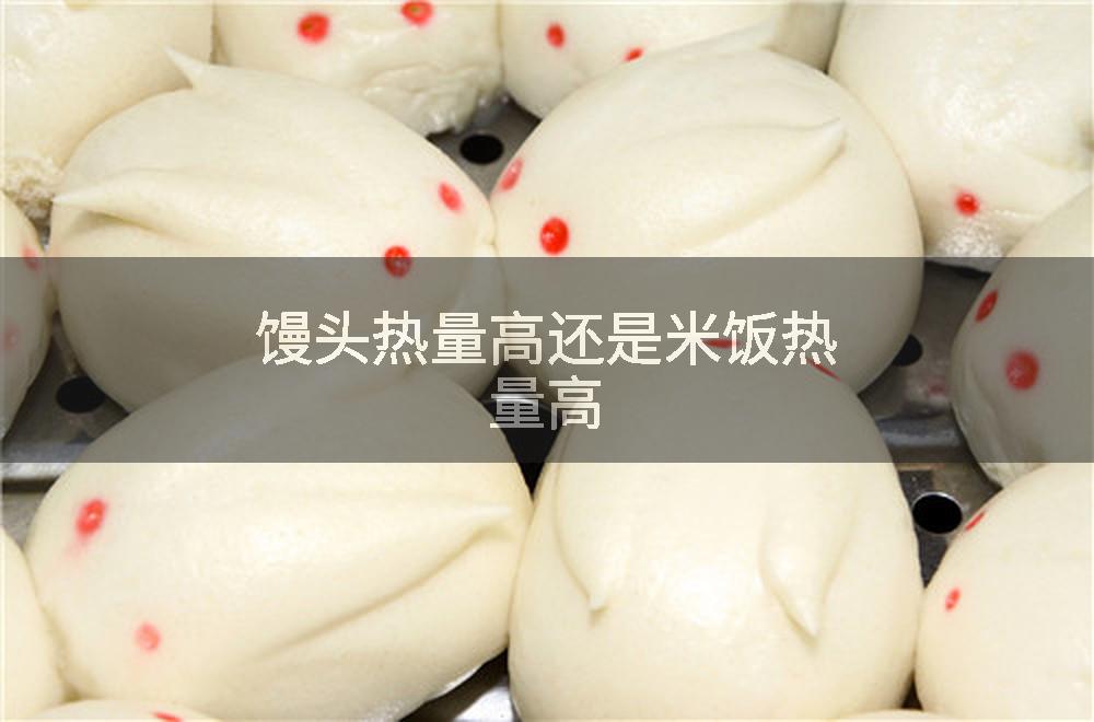馒头热量高还是米饭热量高