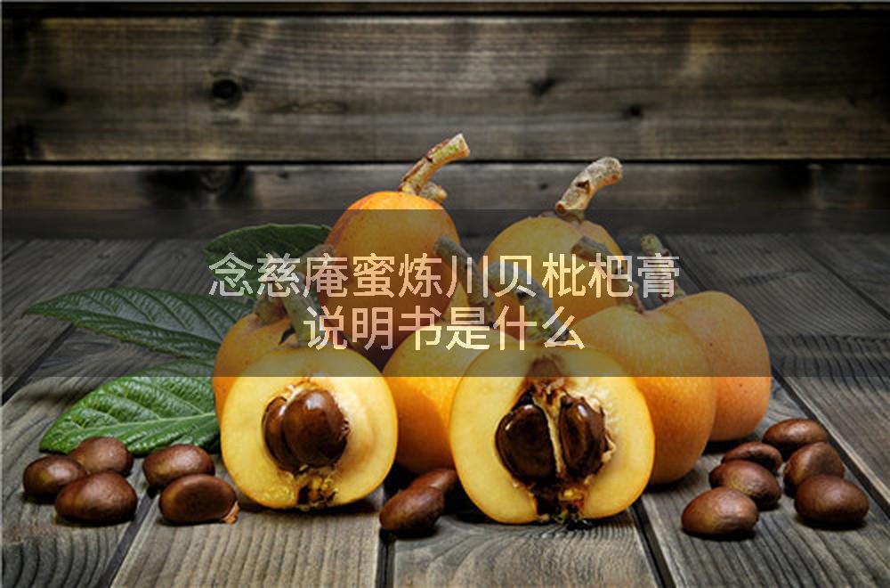 念慈庵蜜炼川贝枇杷膏说明书是什么