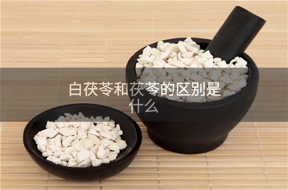 白茯苓和茯苓的区别是什么