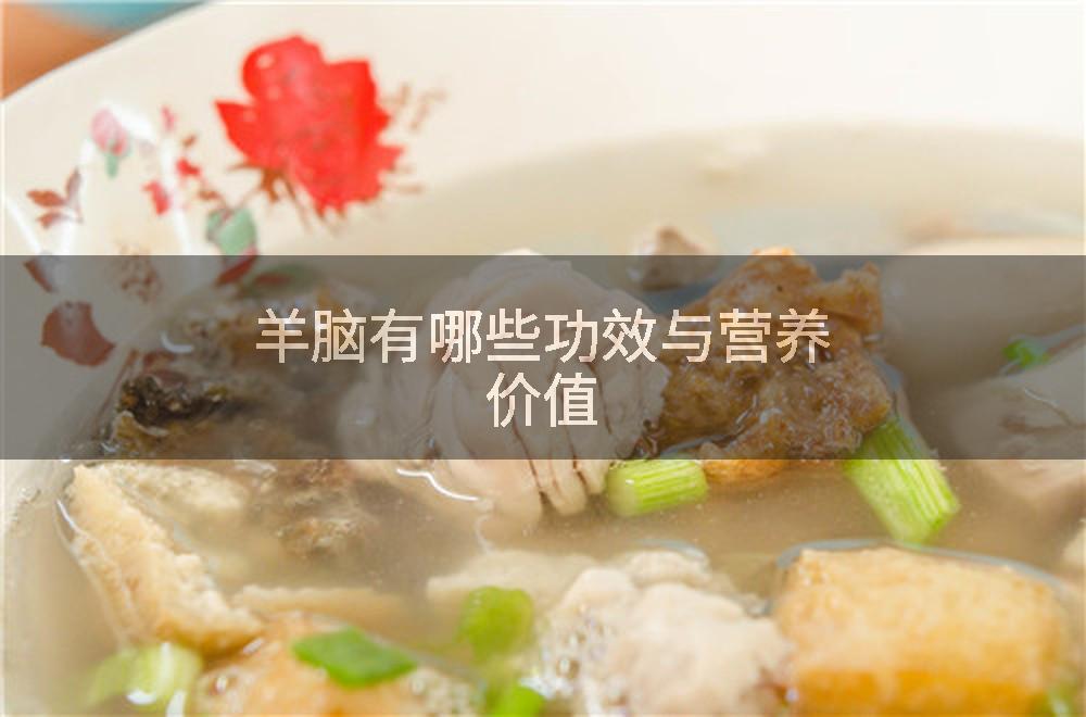 羊脑有哪些功效与营养价值