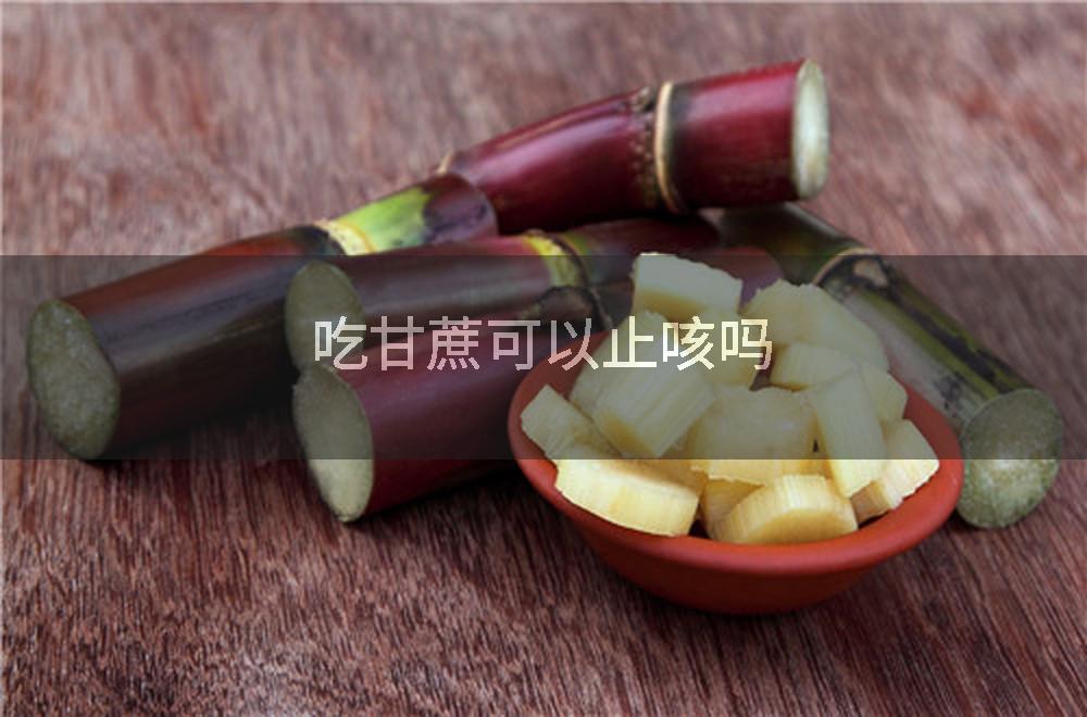吃甘蔗可以止咳吗