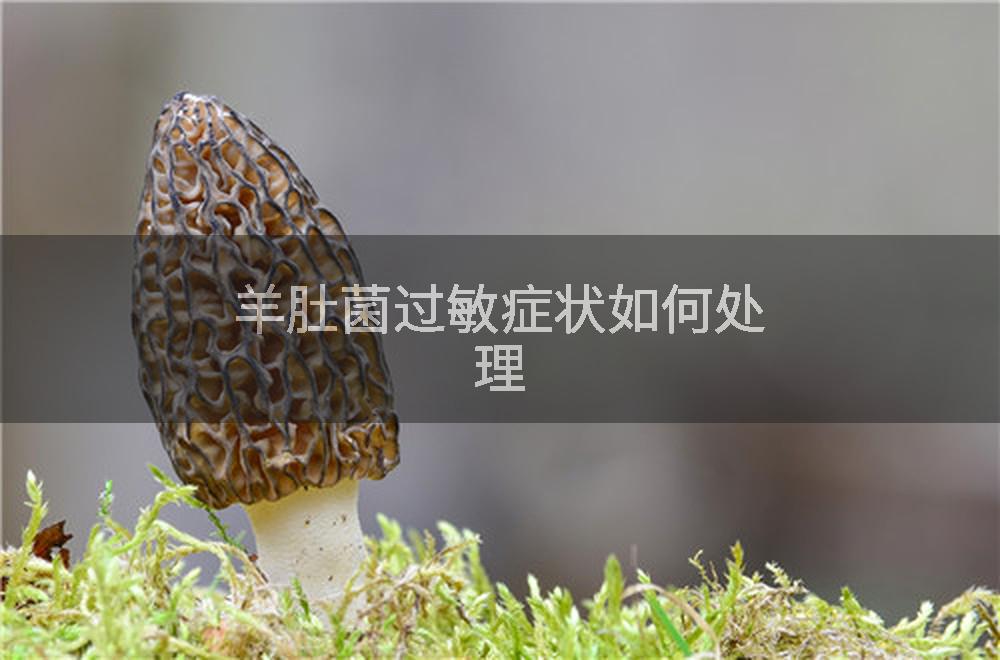 羊肚菌过敏症状如何处理