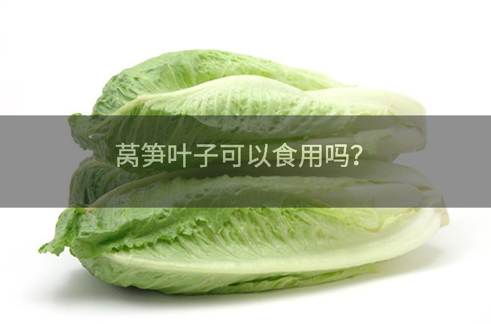 莴笋叶子可以食用吗？