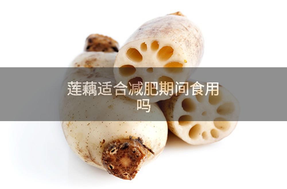 莲藕适合减肥期间食用吗
