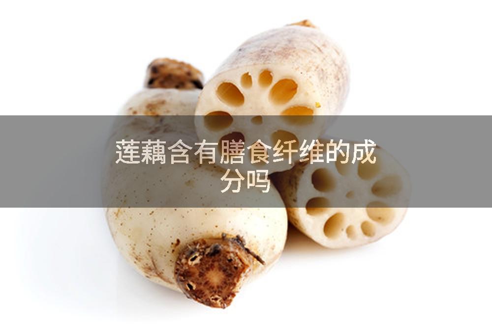 莲藕含有膳食纤维的成分吗