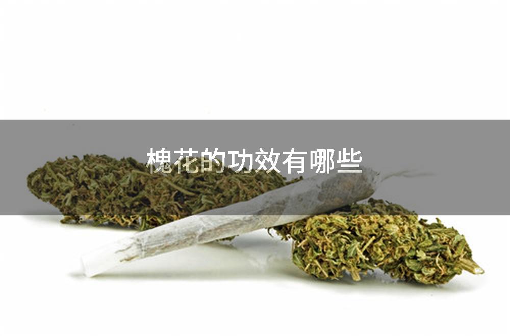 槐花的功效有哪些