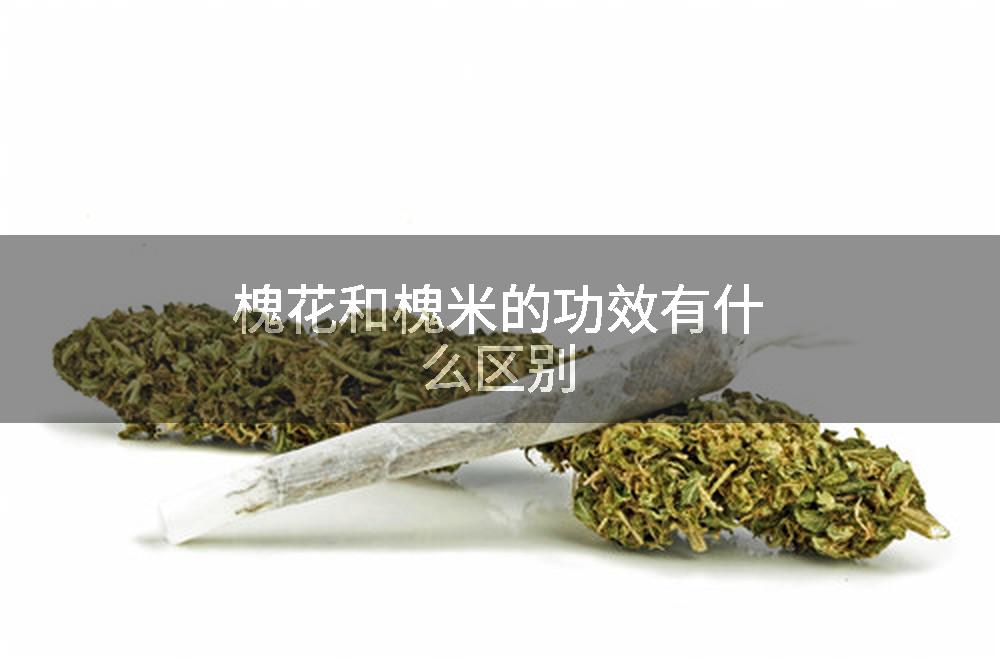 槐花和槐米的功效有什么区别