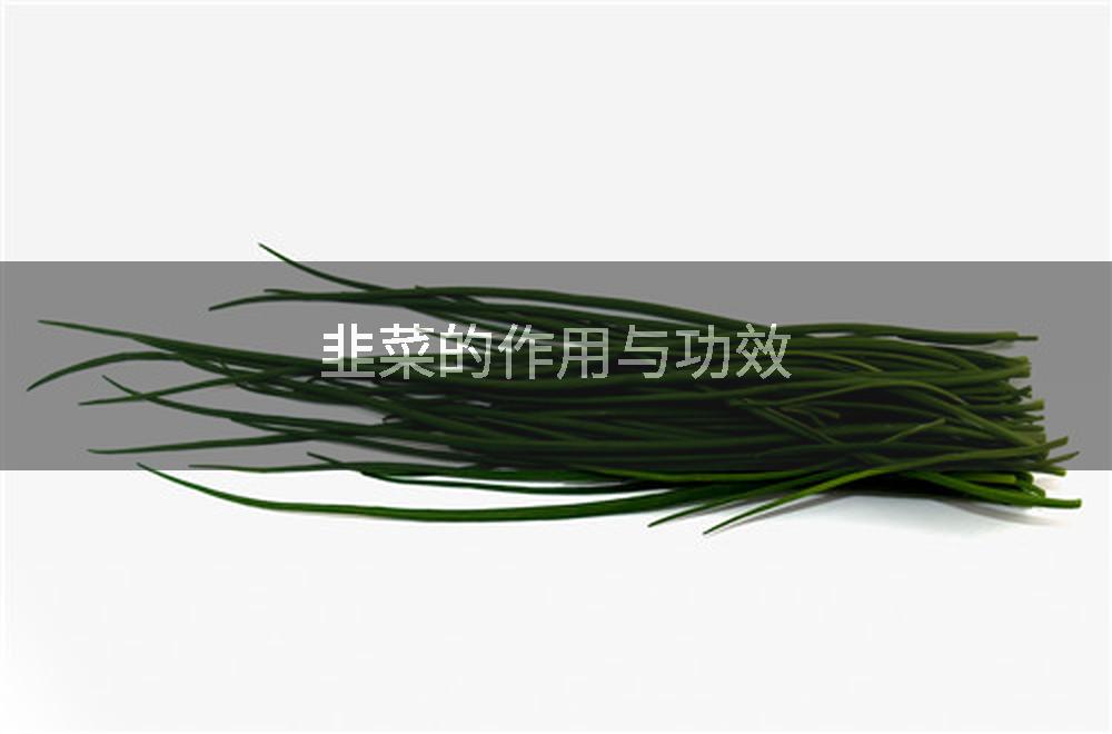 韭菜的作用与功效