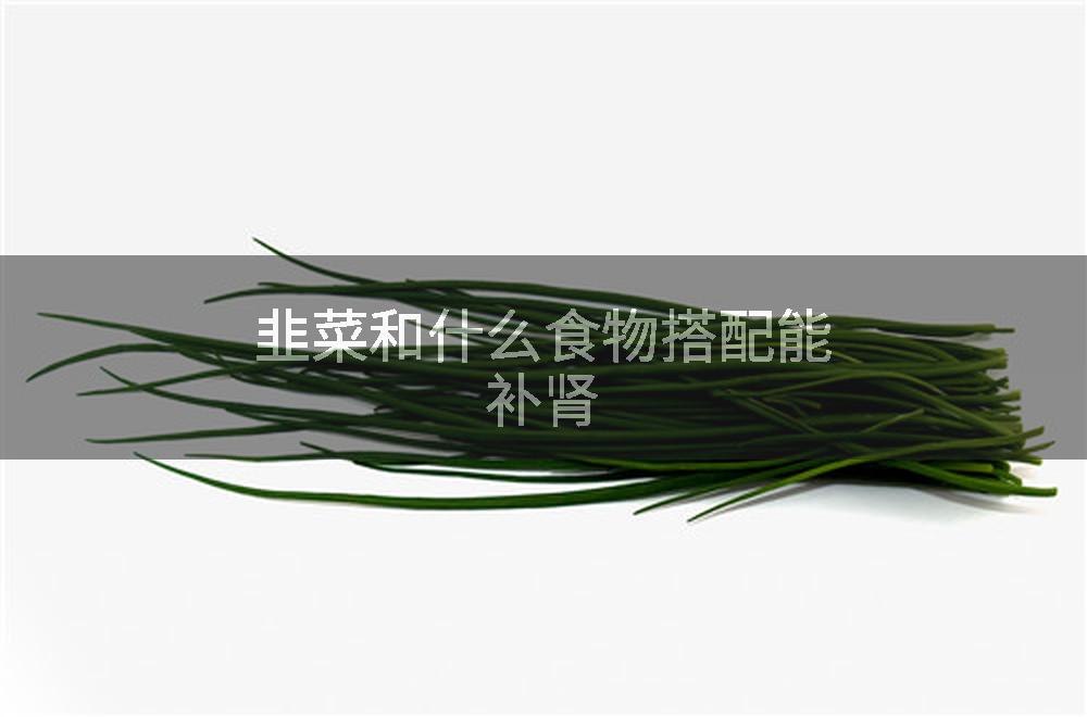 韭菜和什么食物搭配能补肾