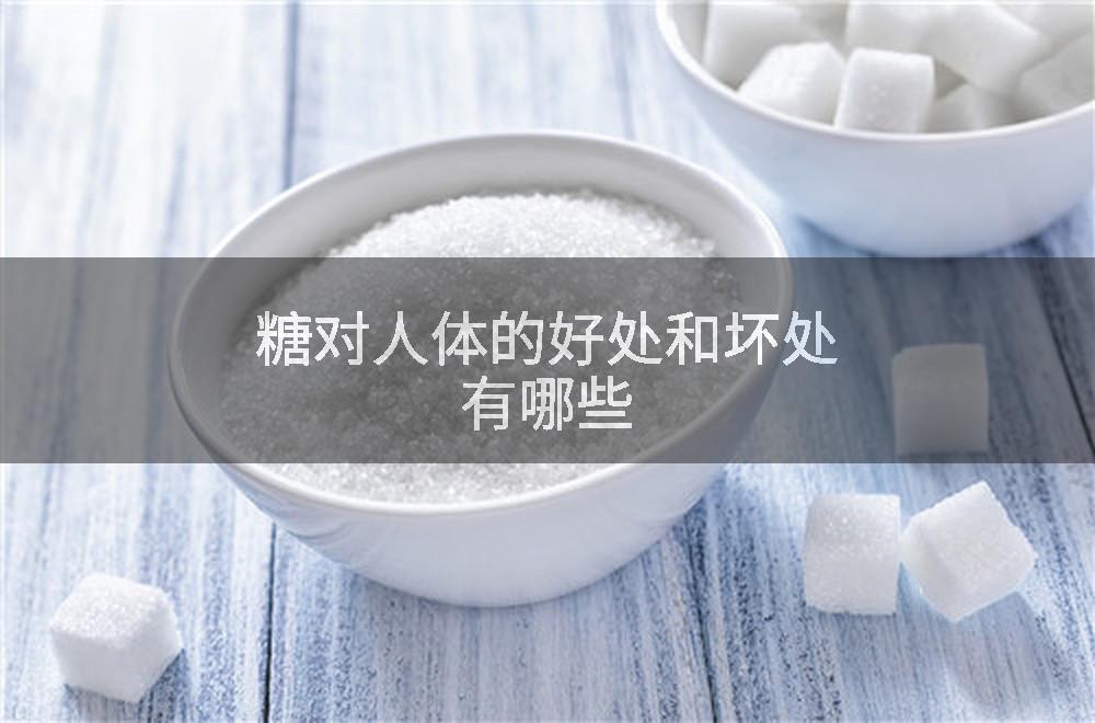 糖对人体的好处和坏处有哪些