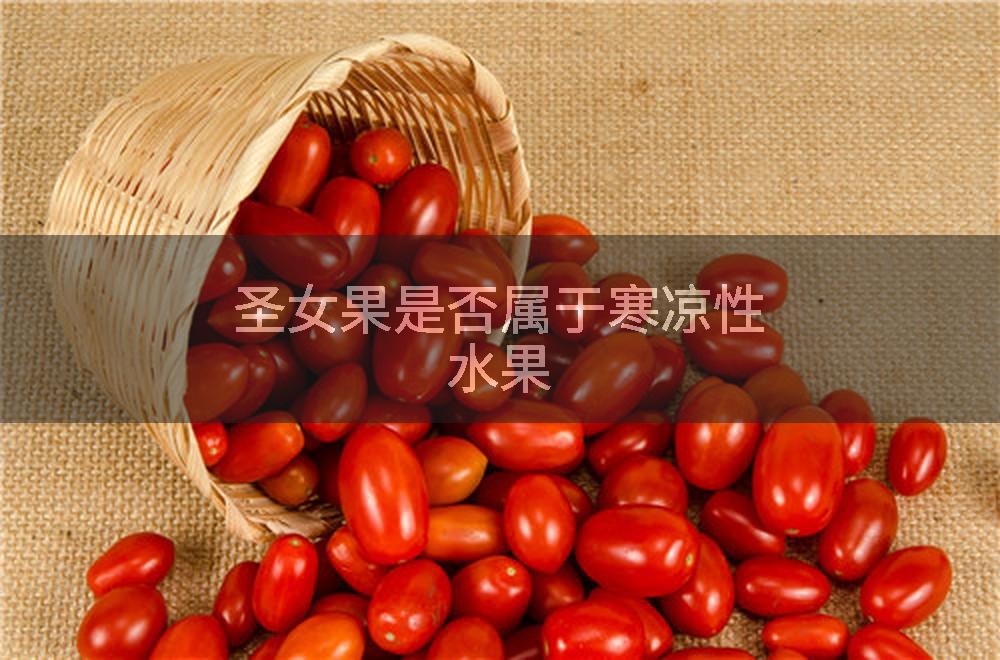 圣女果是否属于寒凉性水果