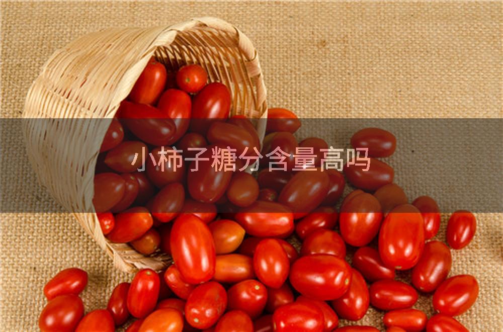 小柿子糖分含量高吗