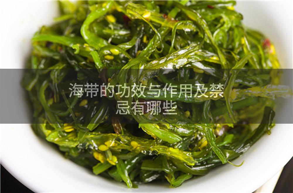 海带的功效与作用及禁忌有哪些