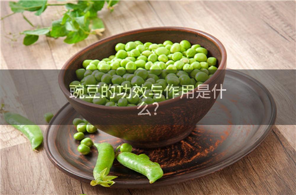 豌豆的功效与作用是什么?