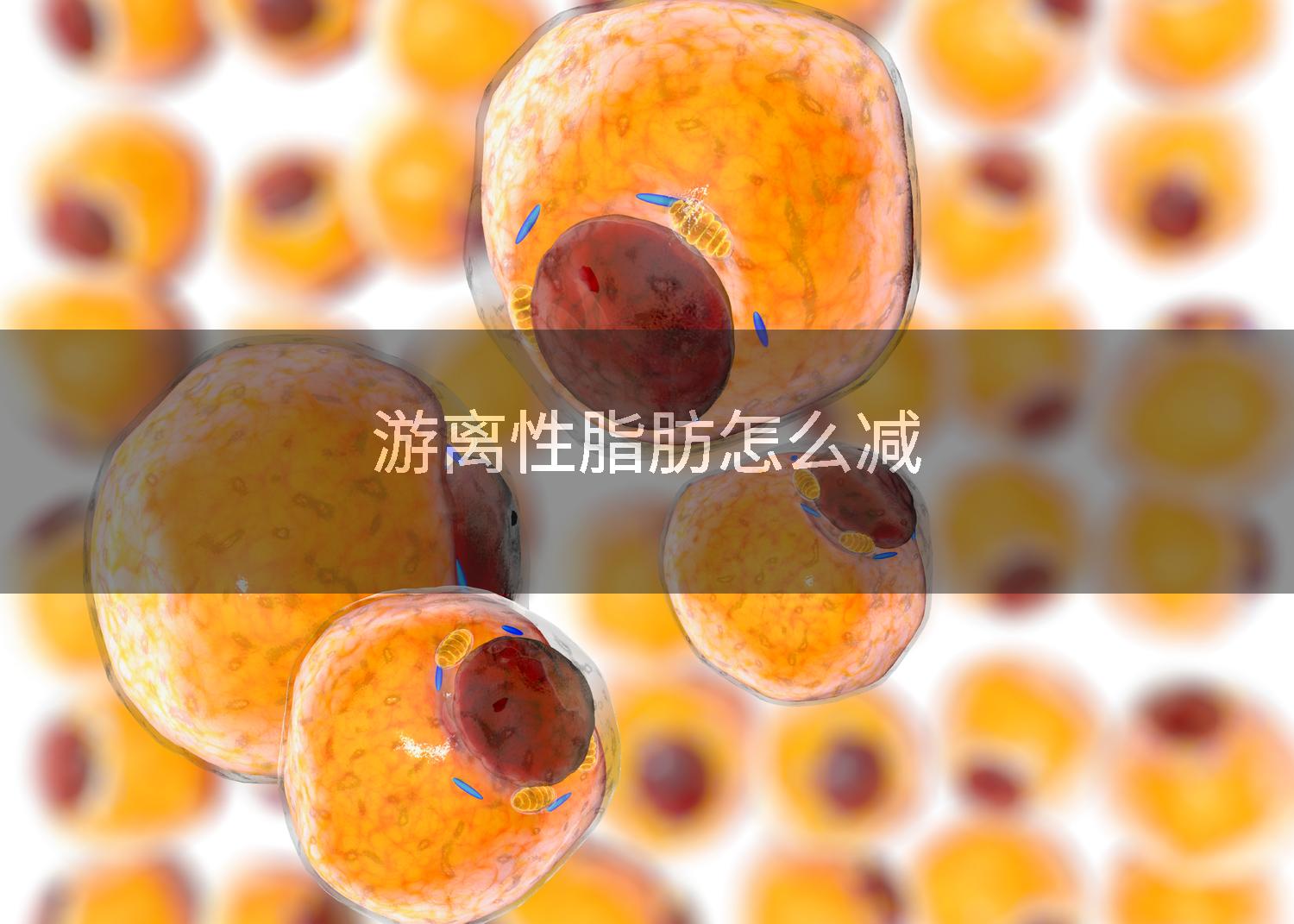 游离性脂肪怎么减