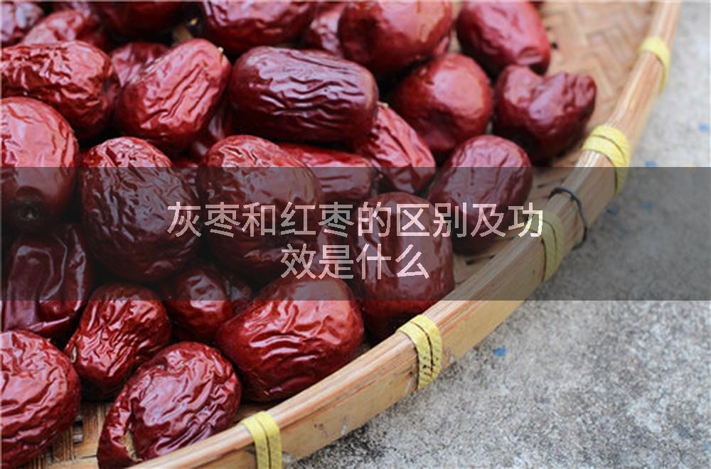 灰枣和红枣的区别及功效是什么