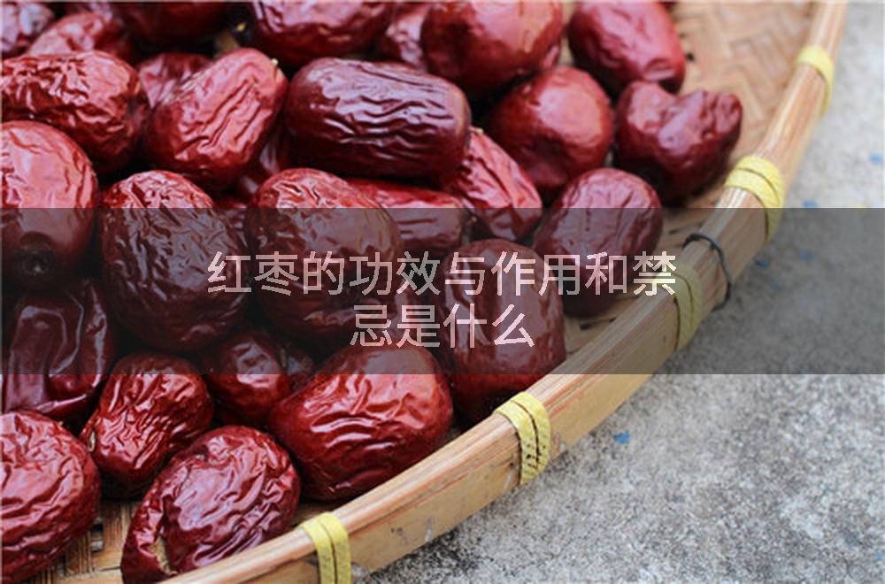 红枣的功效与作用和禁忌是什么