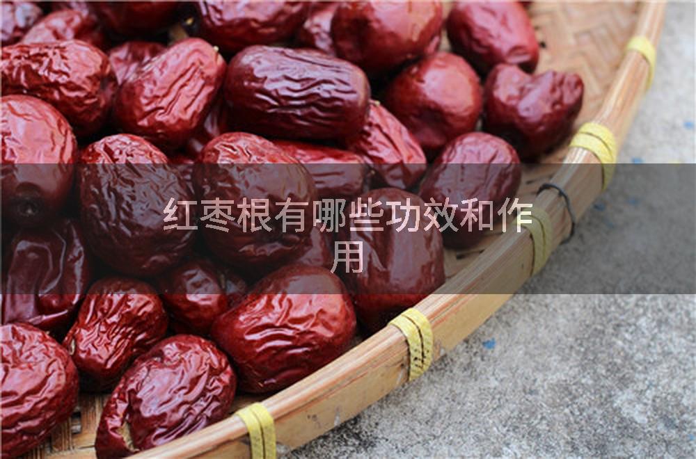 红枣根有哪些功效和作用