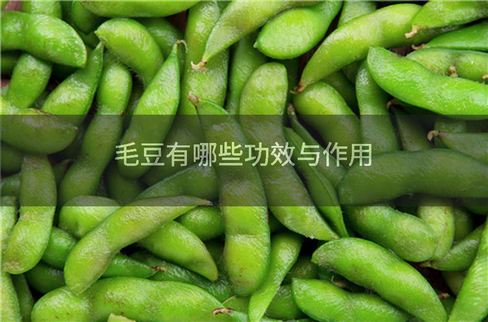 毛豆有哪些功效与作用