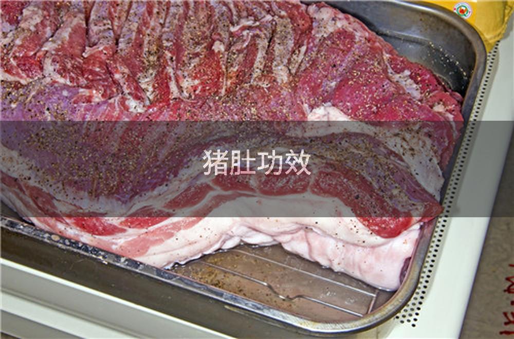 猪肚功效