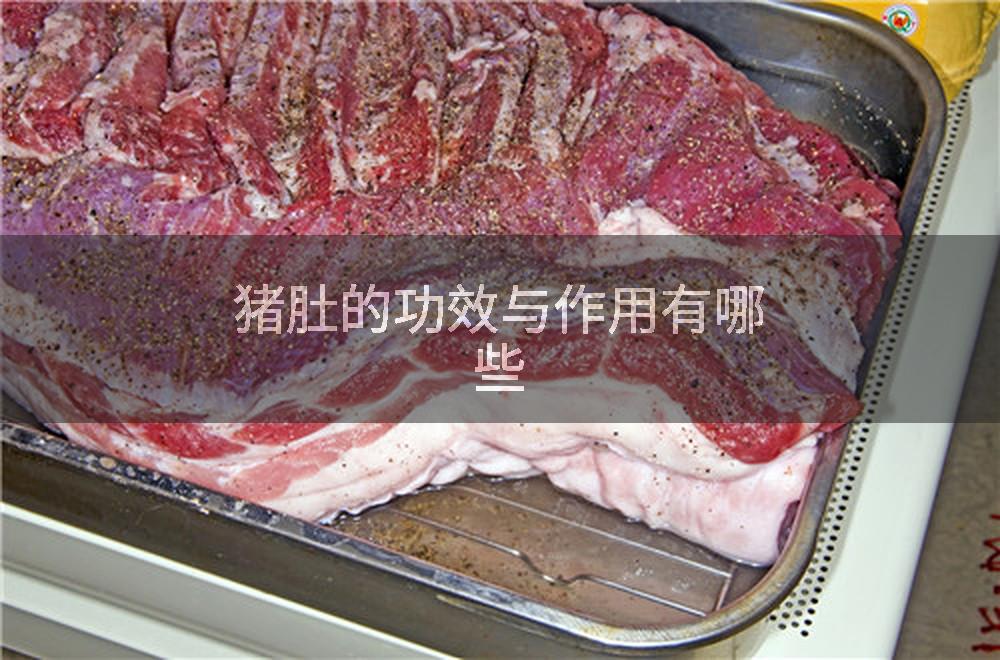 猪肚的功效与作用有哪些