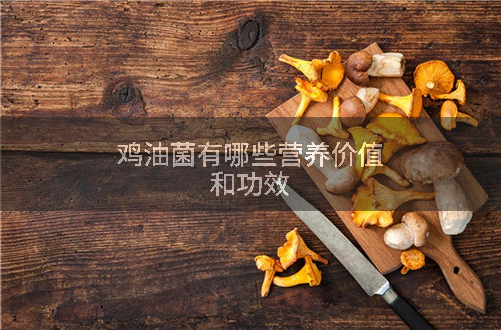 鸡油菌有哪些营养价值和功效
