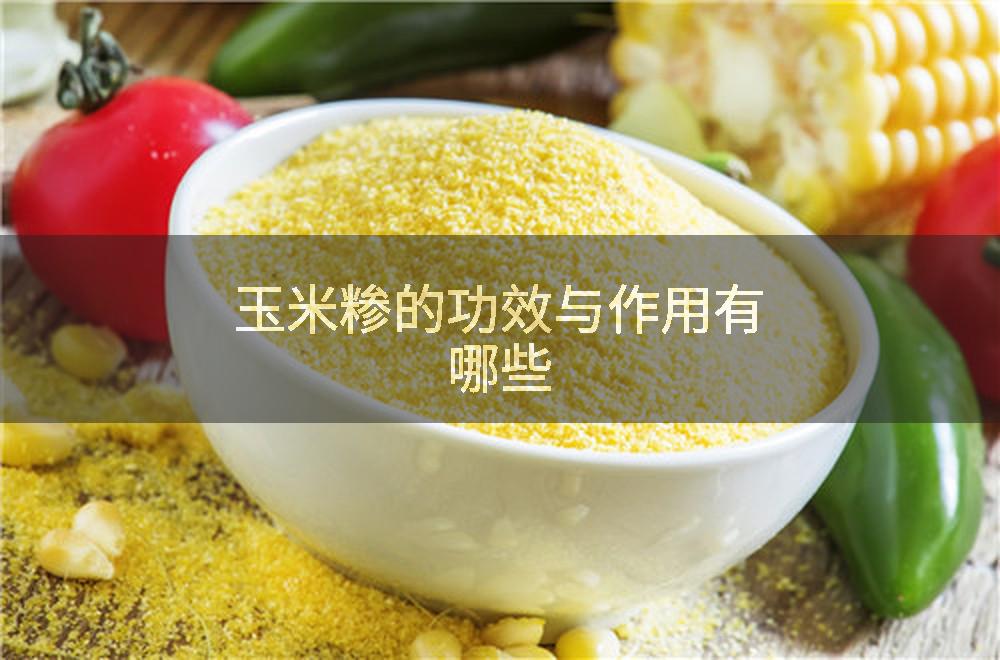 玉米糁的功效与作用有哪些