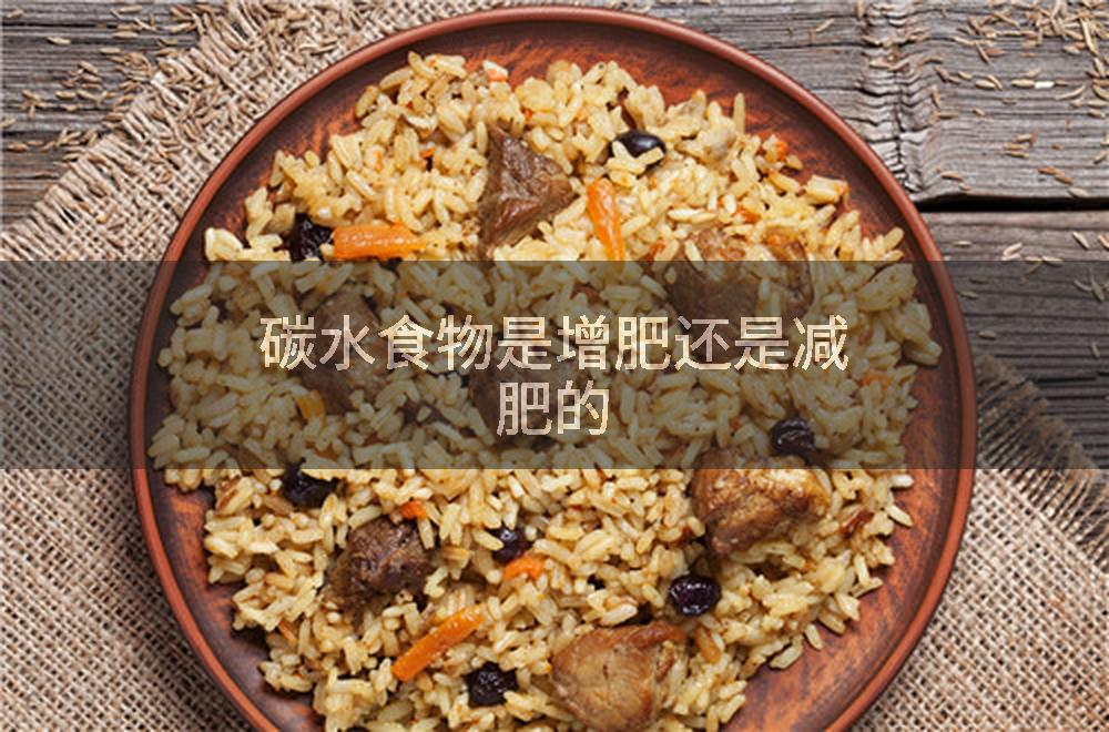 碳水食物是增肥还是减肥的