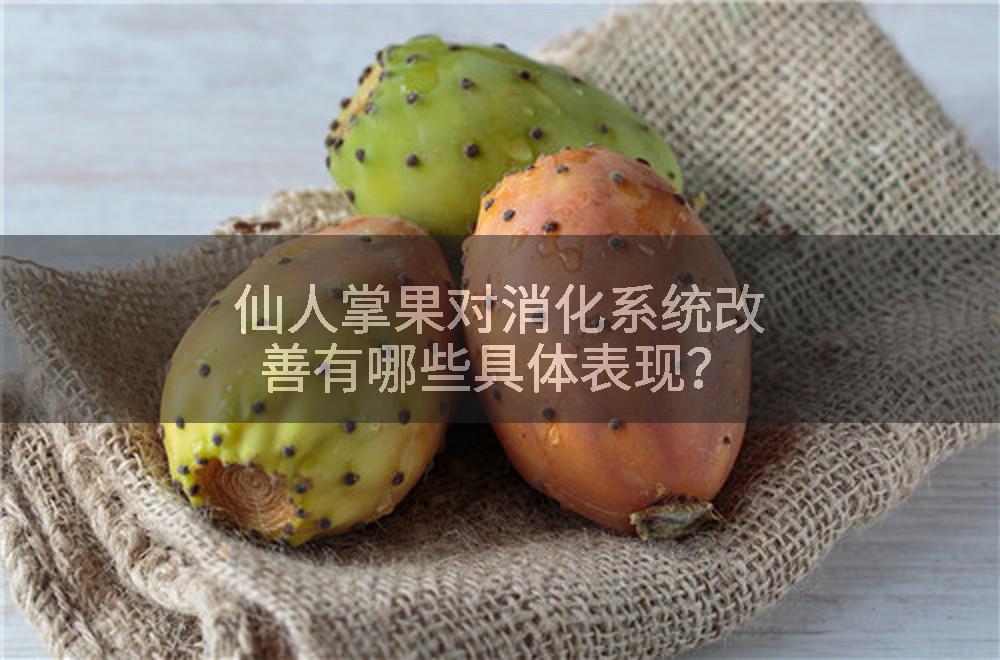 仙人掌果对消化系统改善有哪些具体表现?