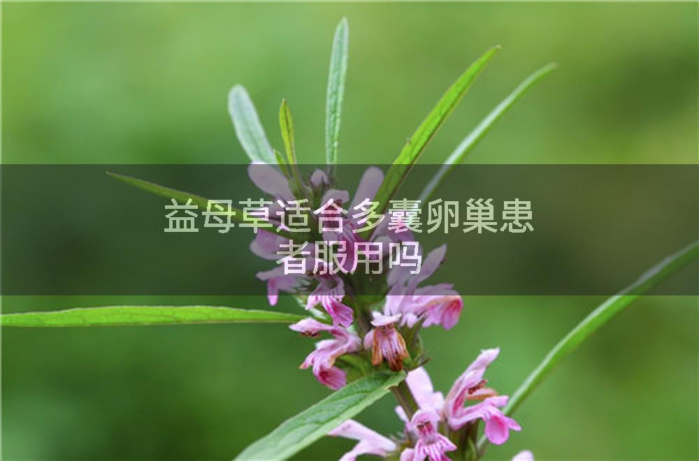 益母草适合多囊卵巢患者服用吗