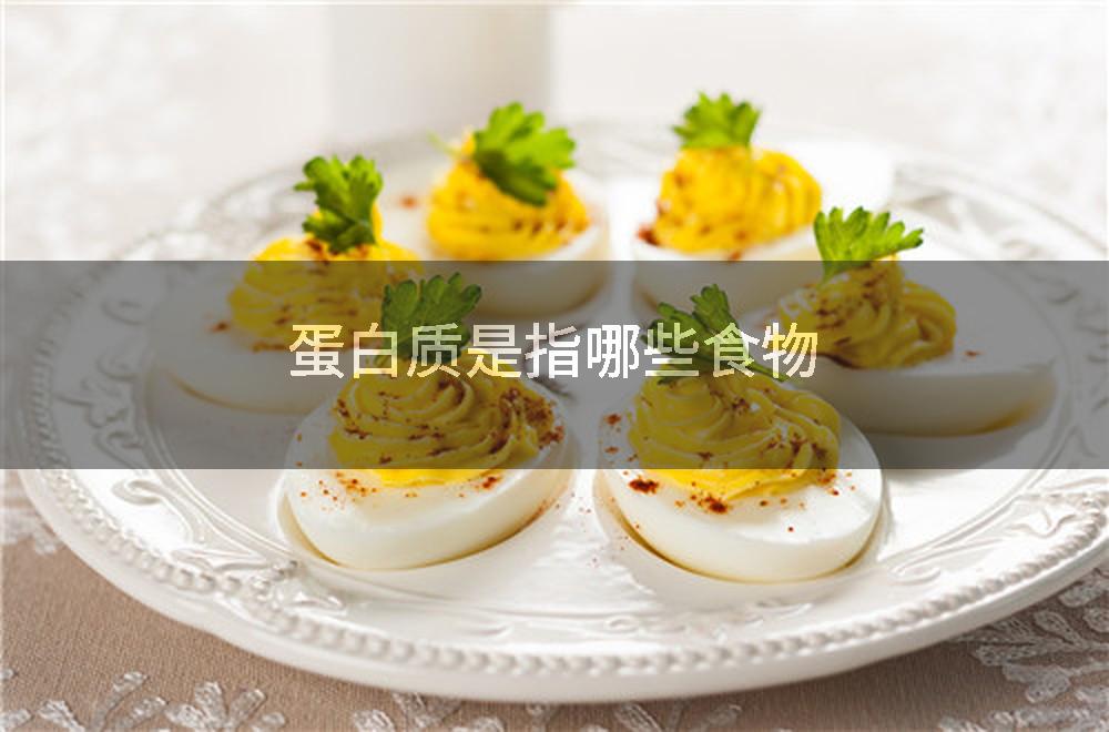 蛋白质是指哪些食物